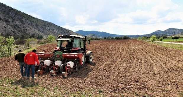 Çiftçiler korona virüse rağmen üretimi sürdürüyor