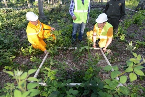 Soğanlı Bitkilerin Envanter Çalışmaları Başladı