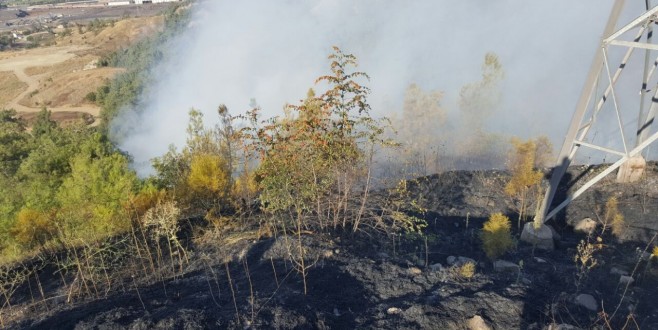 Karabük’te orman yangını
