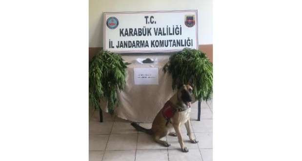 Karabük’te uyuşturucu operasyonu