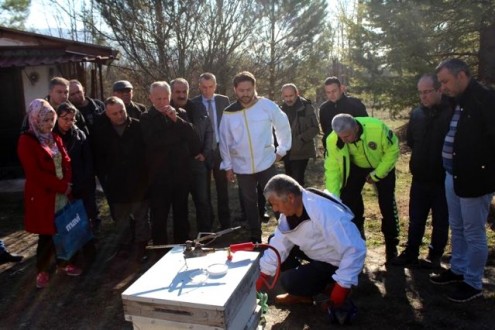 Kovadan Sofraya Bal Eğitimi