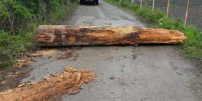 KÖYÜN GİRİŞ ÇIKIŞLARINI KAPATTILAR